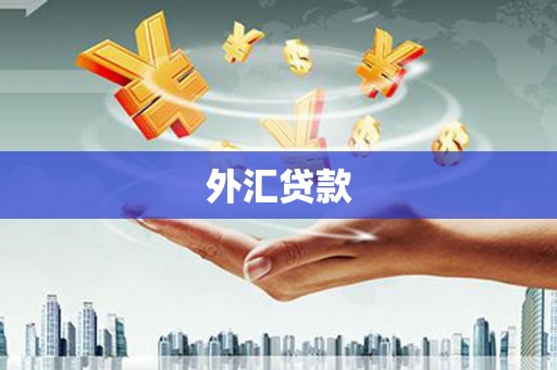 通江外汇贷款
