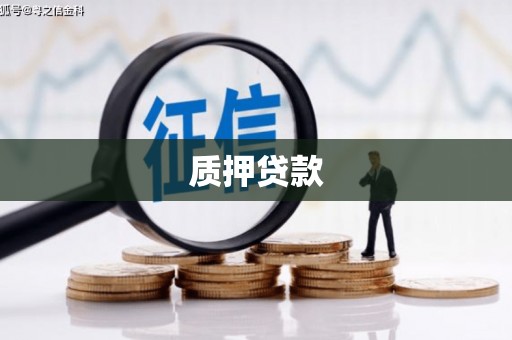 通江质押贷款