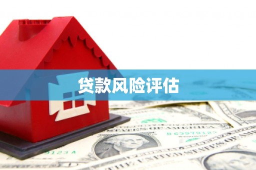 通江贷款风险评估