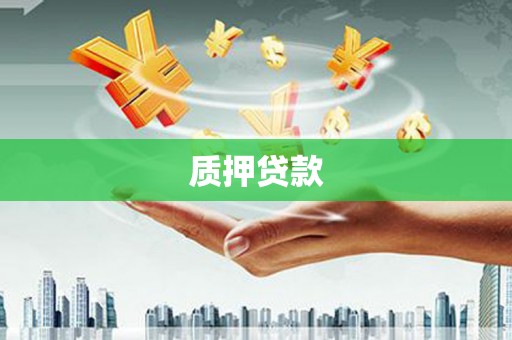 通江质押贷款