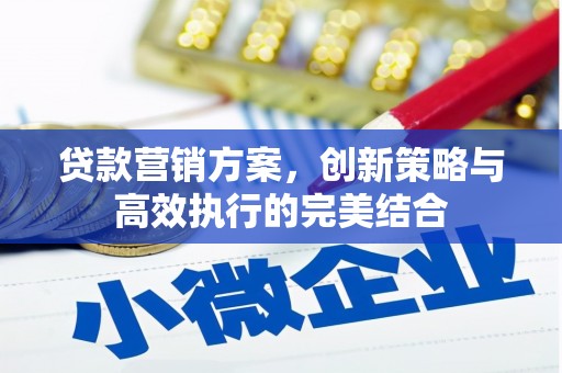 通江贷款营销方案，创新策略与高效执行的完美结合