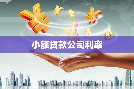 通江小额贷款公司利率