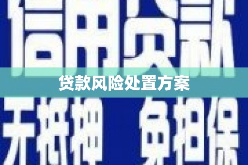 通江贷款风险处置方案