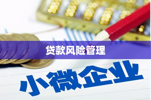 通江贷款风险管理
