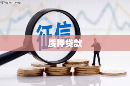 通江质押贷款
