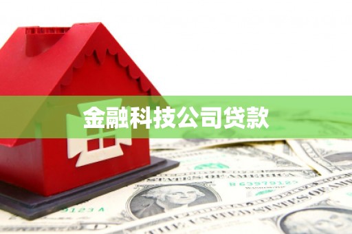 通江金融科技公司贷款