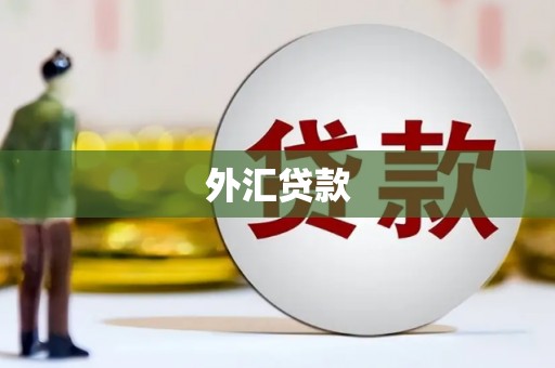 通江外汇贷款