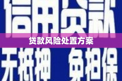 通江贷款风险处置方案