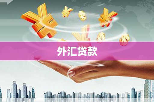 通江外汇贷款