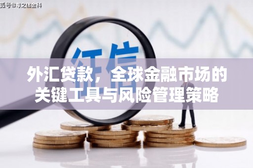 通江外汇贷款，全球金融市场的关键工具与风险管理策略