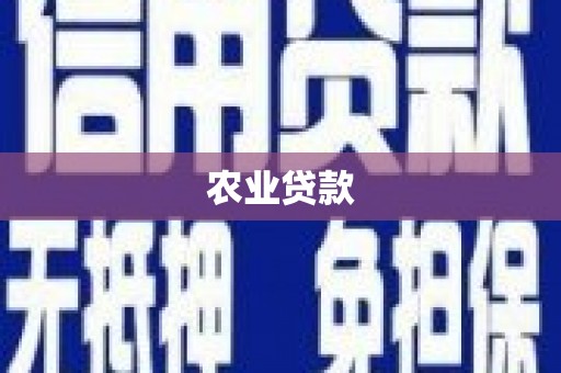 通江农业贷款