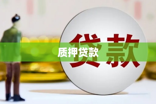 通江质押贷款