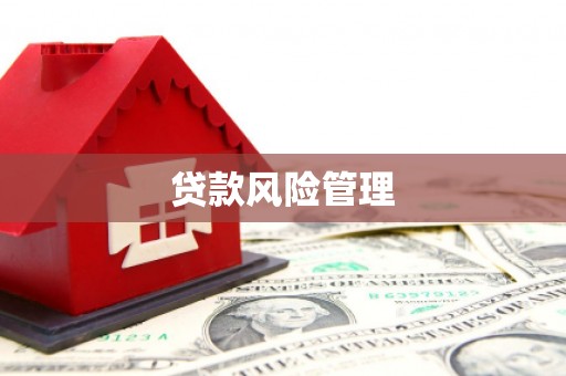 通江贷款风险管理