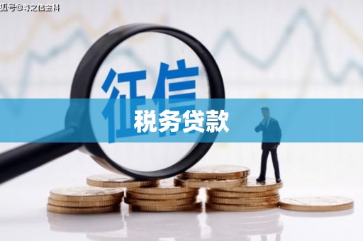 通江税务贷款