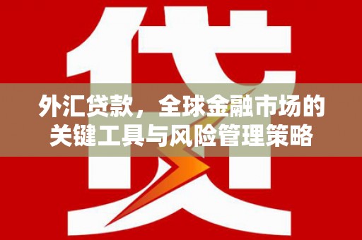 通江外汇贷款，全球金融市场的关键工具与风险管理策略