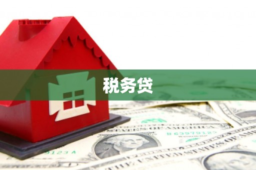 通江税务贷