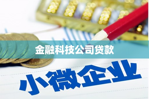通江金融科技公司贷款