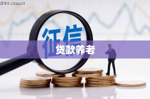 通江贷款养老