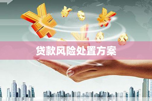 通江贷款风险处置方案