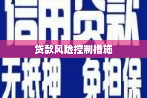 通江贷款风险控制措施