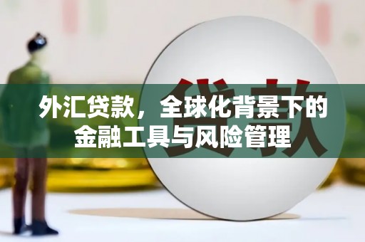 通江外汇贷款，全球化背景下的金融工具与风险管理