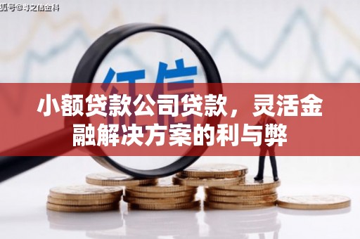 通江小额贷款公司贷款，灵活金融解决方案的利与弊
